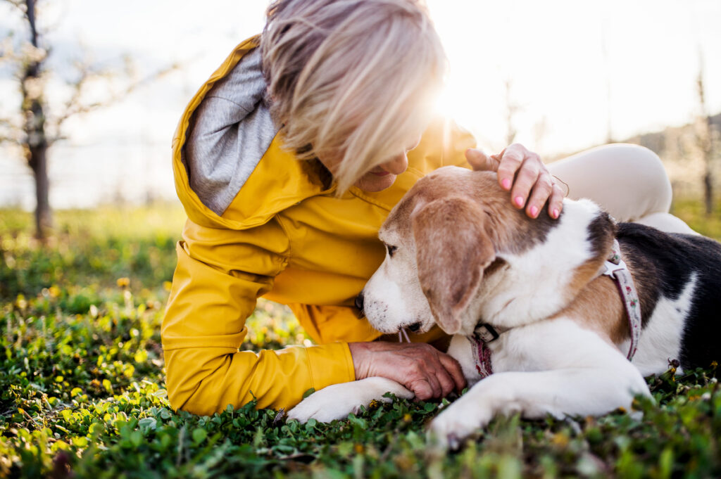 Senhora de cabelo loiro e blusa de frio amarela beija cabeça de cachorro em gramado
