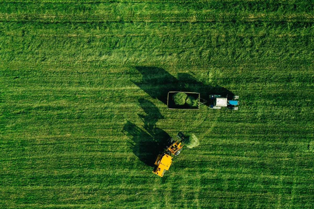 Vista aérea do campo de colheita de safra com trator movendo fardos de feno