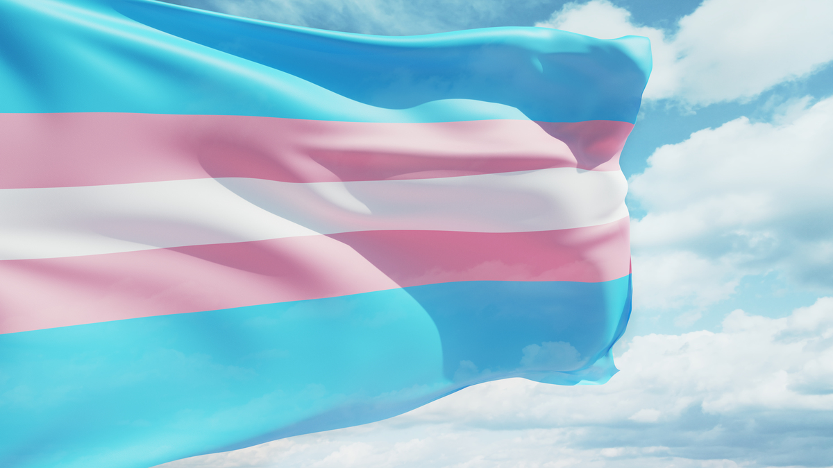 Bandeira trans com cores azul e rosa bebê e branco, ao vento contra o céu.