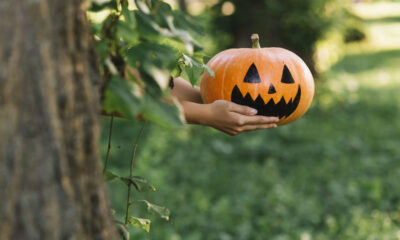 pessoa segurando abóbora de halloween para fora enquanto se esconde atrás de árvore