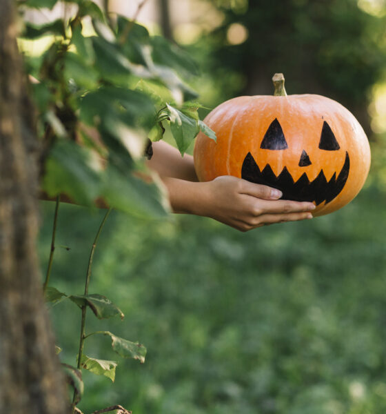 pessoa segurando abóbora de halloween para fora enquanto se esconde atrás de árvore