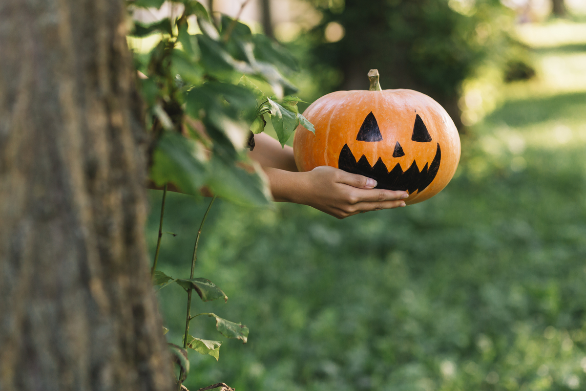 pessoa segurando abóbora de halloween  para fora enquanto se esconde atrás de árvore