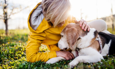 Senhora de cabelo loiro e blusa de frio amarela beija cabeça de cachorro em gramado