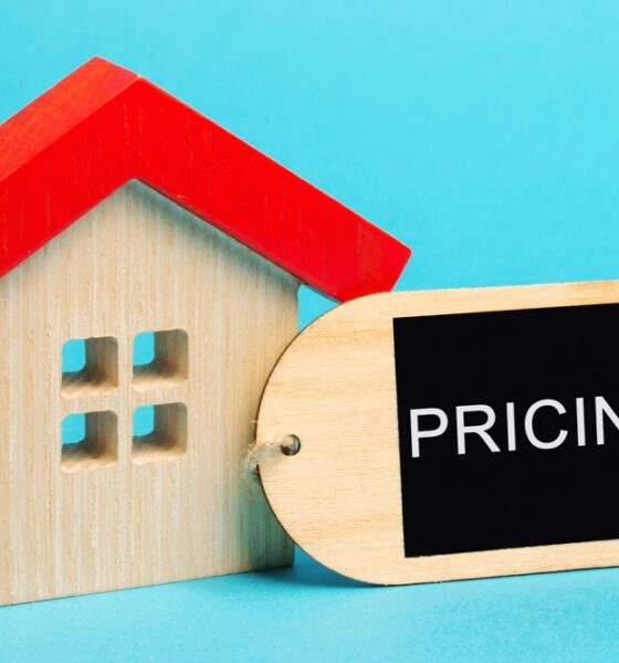 Gestão do pricing; precificação