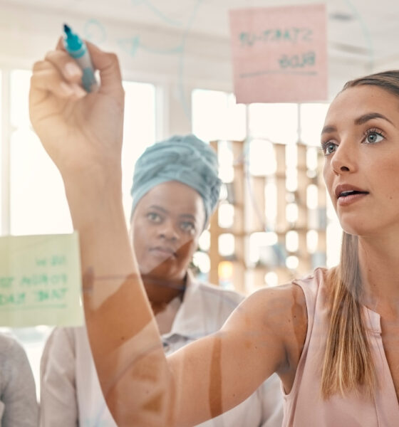 estratégias de SEO e redes sociais; Casas Bahia