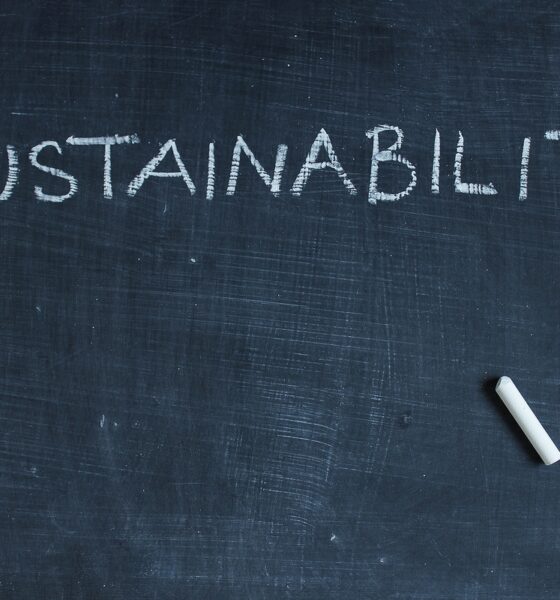 ESG; sustentável