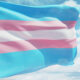 Bandeira trans com cores azul e rosa bebê e branco, ao vento contra o céu.