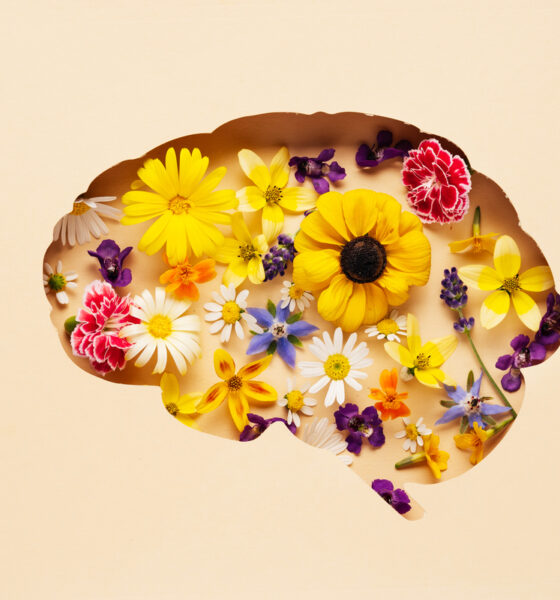 Desenho de cérebro com flores dentro. Fundo bege; saúde mental