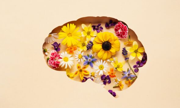 Desenho de cérebro com flores dentro. Fundo bege; saúde mental