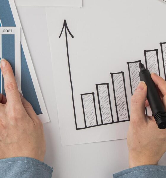 pessoa apontando gráficos em papel; conceito de forecast