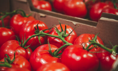 Caixa de tomates vermelhos no supermercado