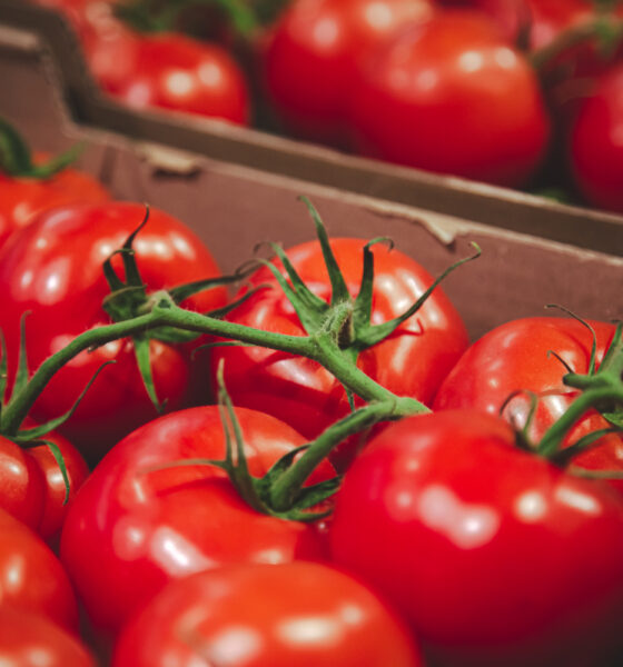 Caixa de tomates vermelhos no supermercado