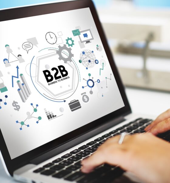 digitalização do B2B marketing; transformação