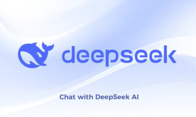 DeepSeek