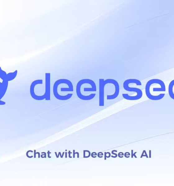 DeepSeek