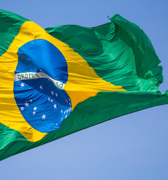 COP 30 Brasil; mercado