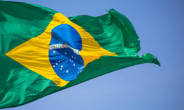 COP 30 Brasil; mercado
