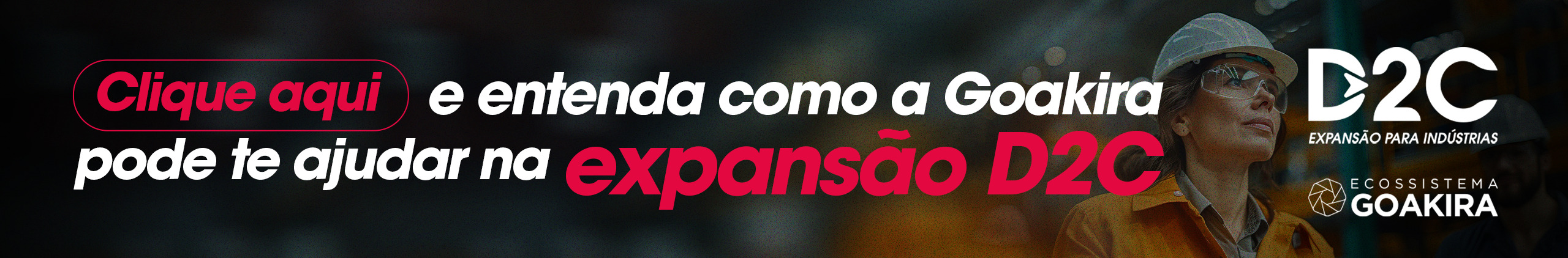D2C Artigo