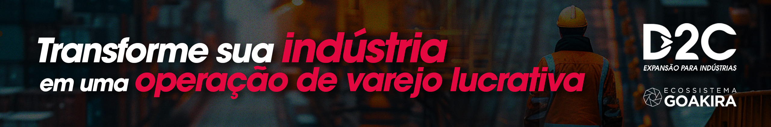 D2C Artigo
