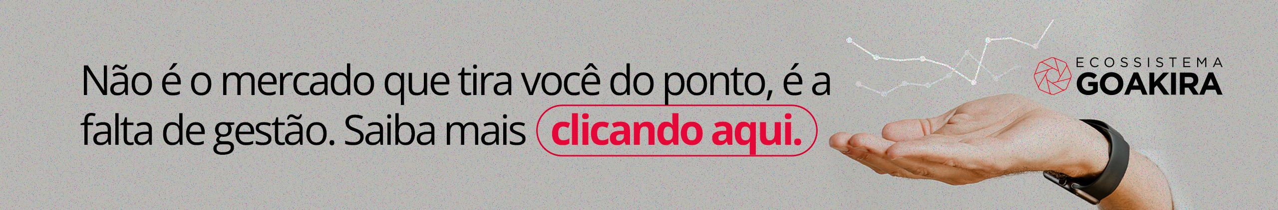 artigo goakira gestão