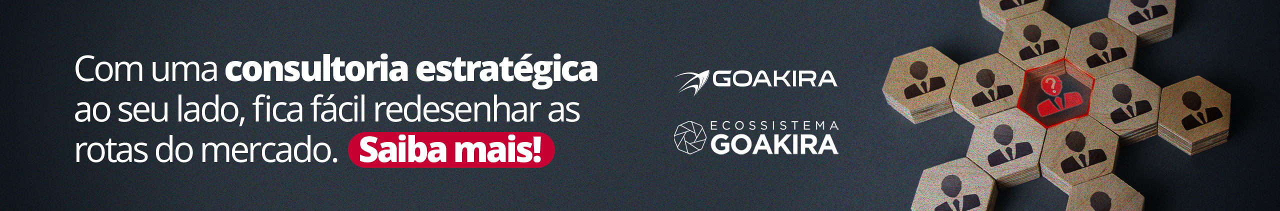 Banners para artigo Goakira