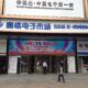 SEG Electronics Market
